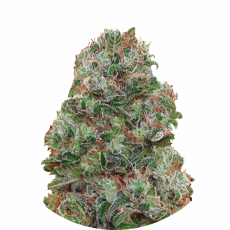 Семена марихуаны купить сорт Bubble Gum Fem.