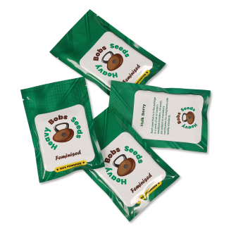 Семена конопли сорта Notorious THC Fem.