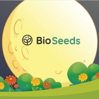 Семена конопли сорта Лунный календарь BioSeeds