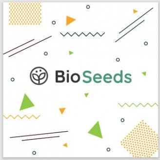 Семена конопли сорта Магнитик BioSeeds