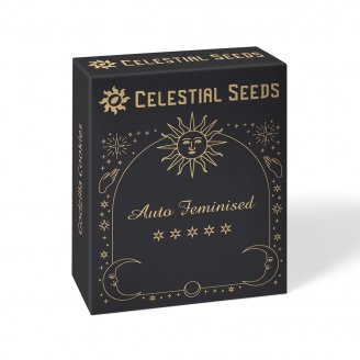 Семена конопли сорта Gorilla Berry Auto Fem.